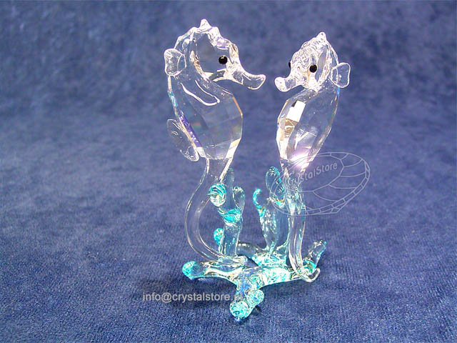 Zeepaardjes Zeepaardjes