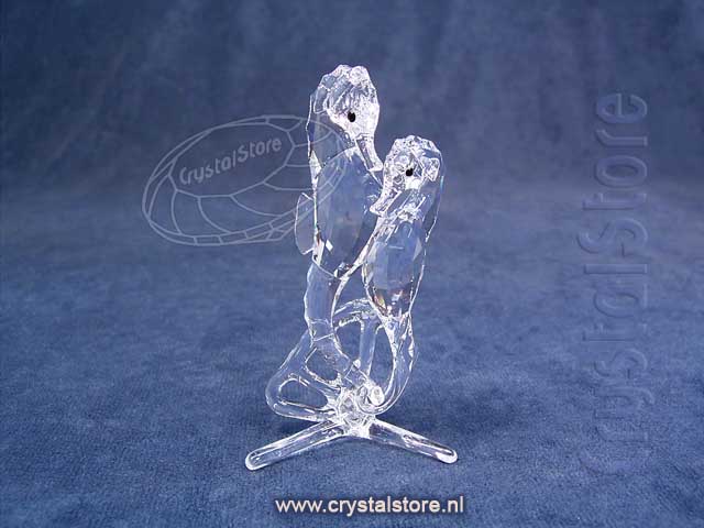 Zeepaardjes Helder Zeepaardjes Helder