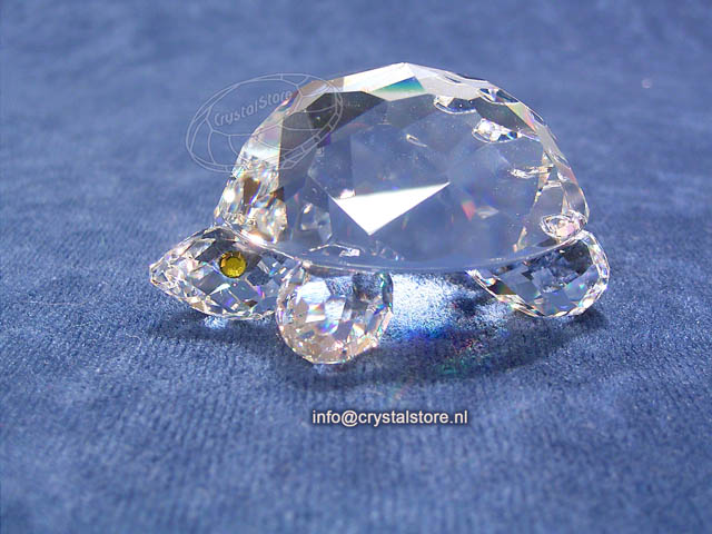 Schildpad groot Schildpad groot