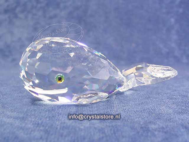 Walvis Moby Dick Walvis Moby Dick